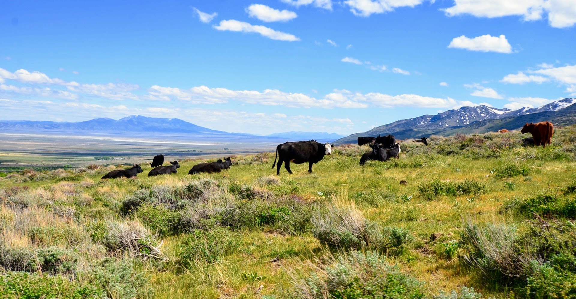 Clover Valley Ranch Sold Nevada Hall and Hall